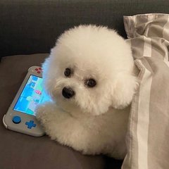 邪恶冥刻全屏怎么设置